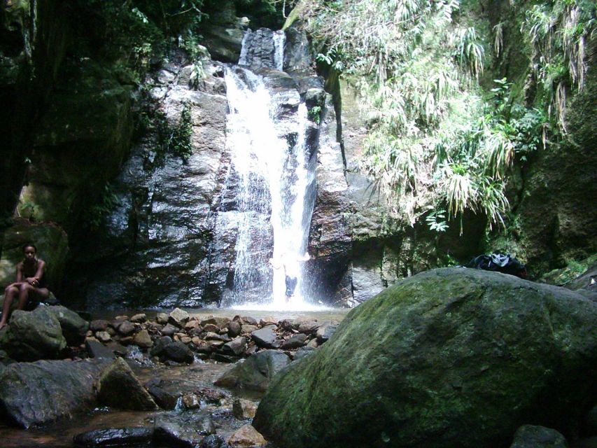 Rio: Tijuca Forest & Horto Waterfalls Circuit Tour - Practical logistics: where you start, where you return, and how pickup works