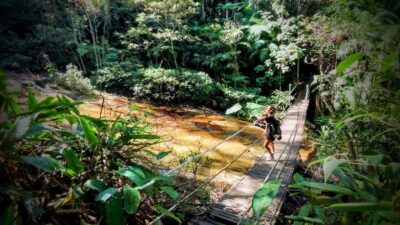 Tijuca Forest Small Group Hike to Caves and Waterfalls