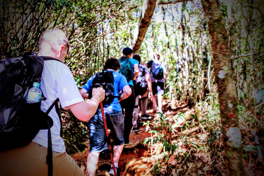 Rio: Tijuca Forest Small Group Hike to Caves and Waterfalls - The Guide Makes or Breaks It: What Small Groups and Bilingual Experts Change