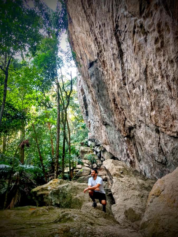 Rio: Tijuca Forest Small Group Hike to Caves and Waterfalls - Hotel Pickup and Getting There: The South Zone Convenience Play