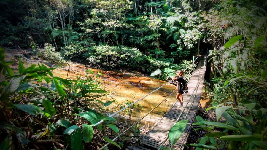 Rio: Tijuca Forest Small Group Hike to Caves and Waterfalls - How Hard Is It, Really: The 6.2 km Moderate Hike and What 448 m Means