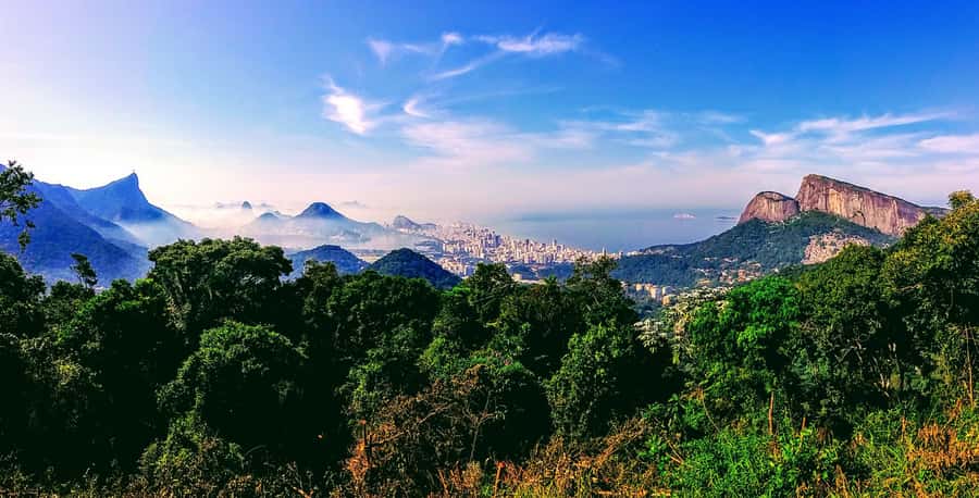 Rio: Tijuca National Park Small-Group Hike to Pedra Bonita - Vista Chinesa: the quick add-on that changes the mood
