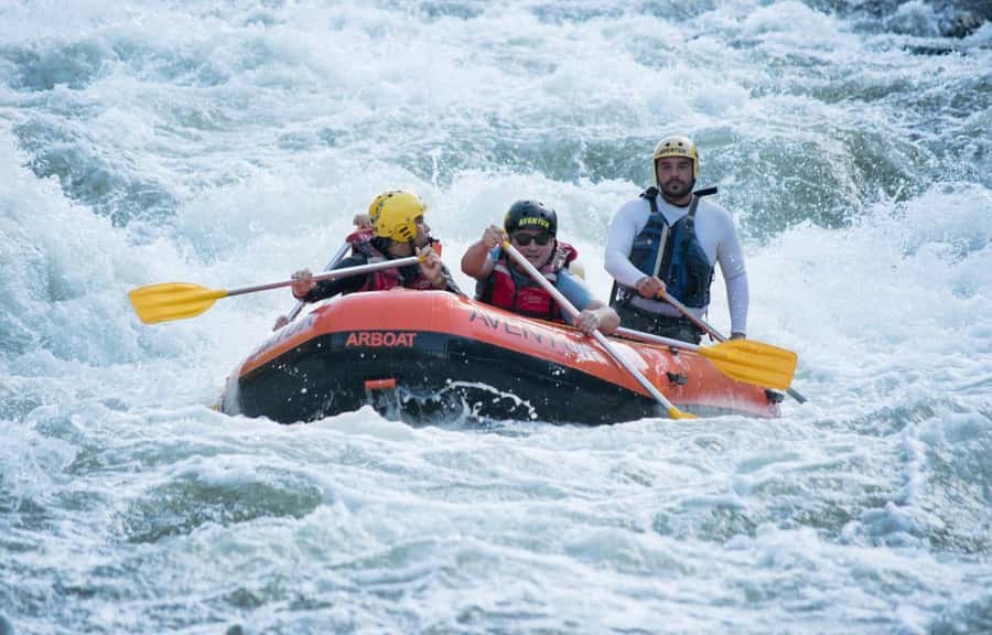 Rio: White Water Rafting Adventure tour in Rio de Janeiro - Wildlife spotting in a preserved Atlantic rainforest, not a stressed zoo