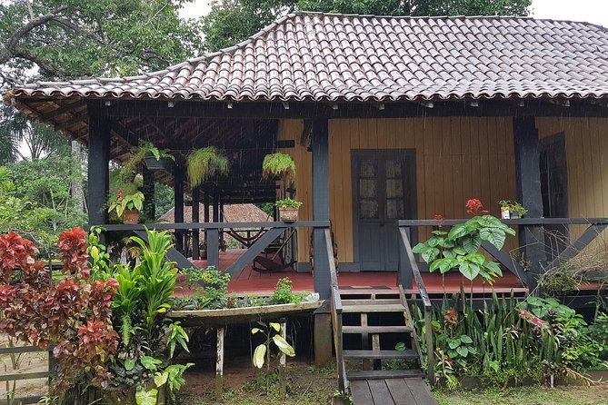 Rubber Museum from Manaus - Quick Key Points Before You Go