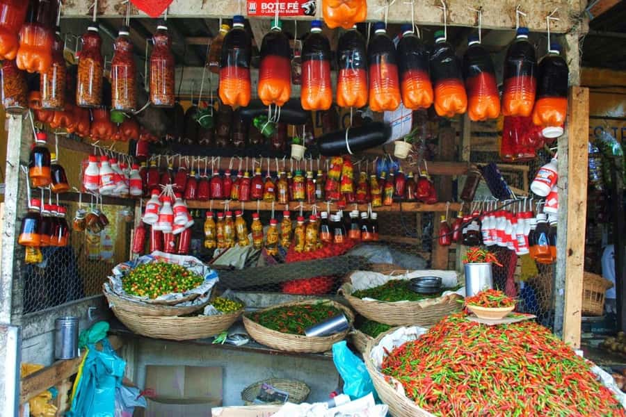 Salvador: Anthropological City Tour with Lunch IN 6 HOURS - Why this 6-hour Salvador tour feels different than a standard city loop