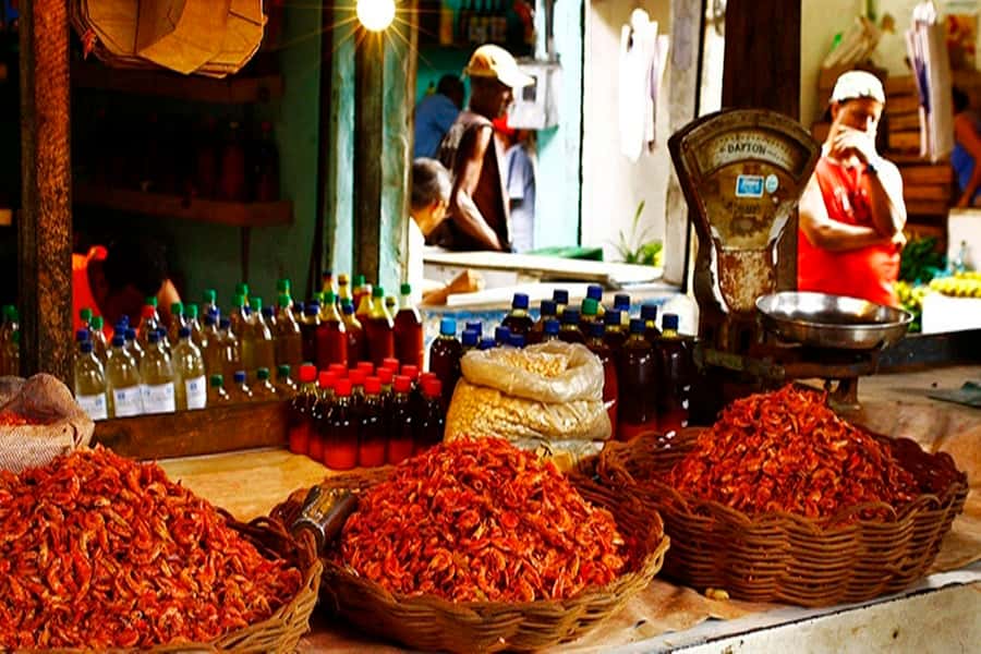 Salvador: Anthropological City Tour with Lunch IN 6 HOURS - São Joaquim Market: where daily life meets intangible heritage