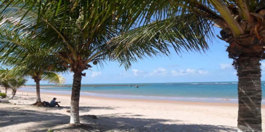 Salvador: Praia Do Forte and Guarajuba Beach Day Trip - Should You Book Praia do Forte and Guarajuba Beach Day Trip?