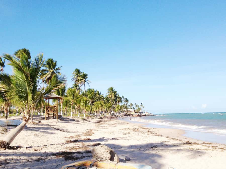 Salvador: Schooner Cruise with Pickup and Itaparica Stop - Hotel Pickup, Timing, and How to Avoid the Usual Snags