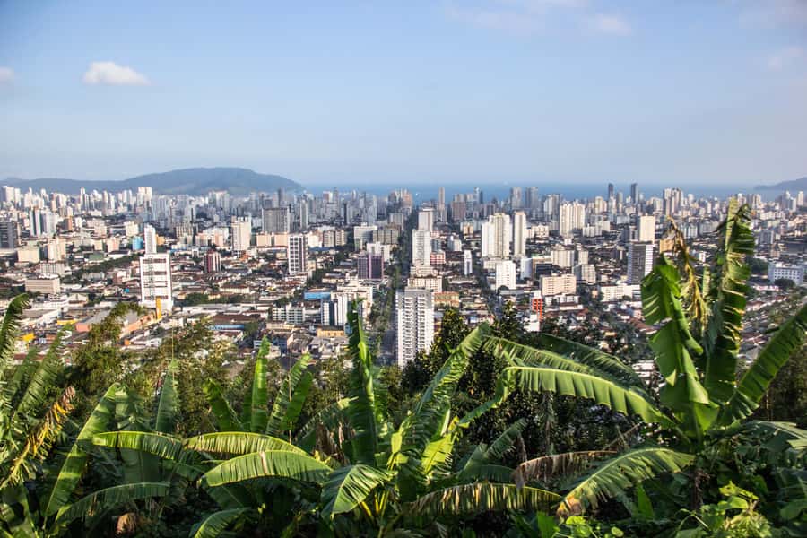 Santos: 7-hour Complete Shared City Tour - Main City Sights - Coffee Museum: A Short 40 Minutes That Still Matters