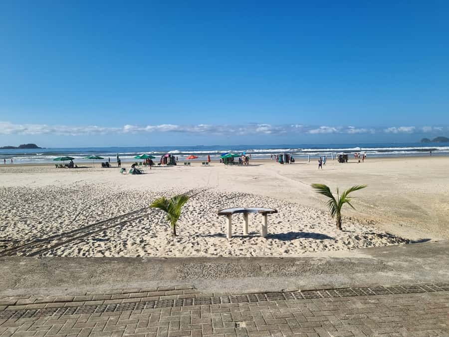 Santos & Guaruja: 8 hour Beach Tour Starting in Sao Paulo - Should You Book This Santos and Guarujá Beach Tour?