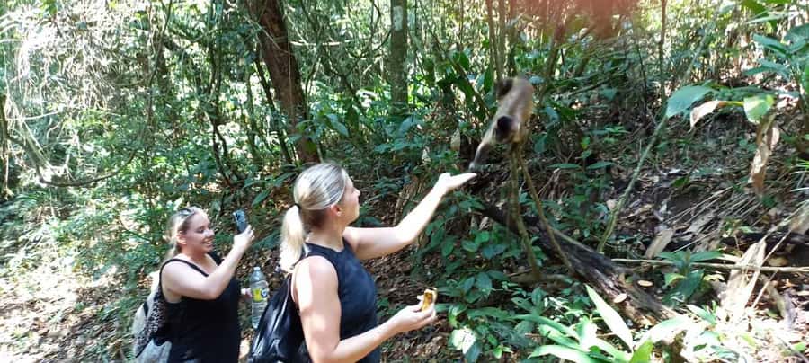 São Paulo: Atlantic Forest Hike in Jaraguá Park with Picnic - Price and Value: Is $212 Reasonable for This Half-Day?