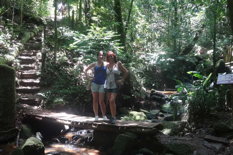 São Paulo: Cantareira Natural Park Guided Rainforest Hike - Pickup rules, small group size, and why you should plan around them