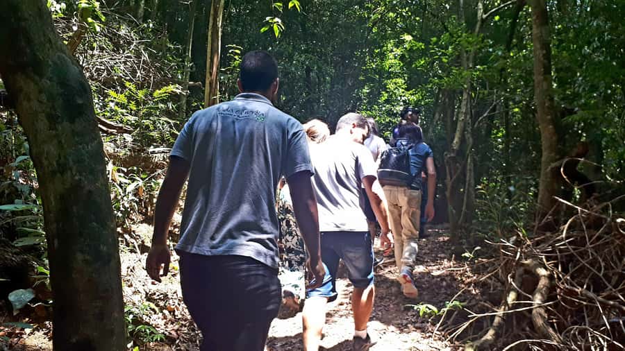 São Paulo: Cantareira Natural Park Guided Rainforest Hike - Price, the park ticket, and whether it’s good value for 8 hours