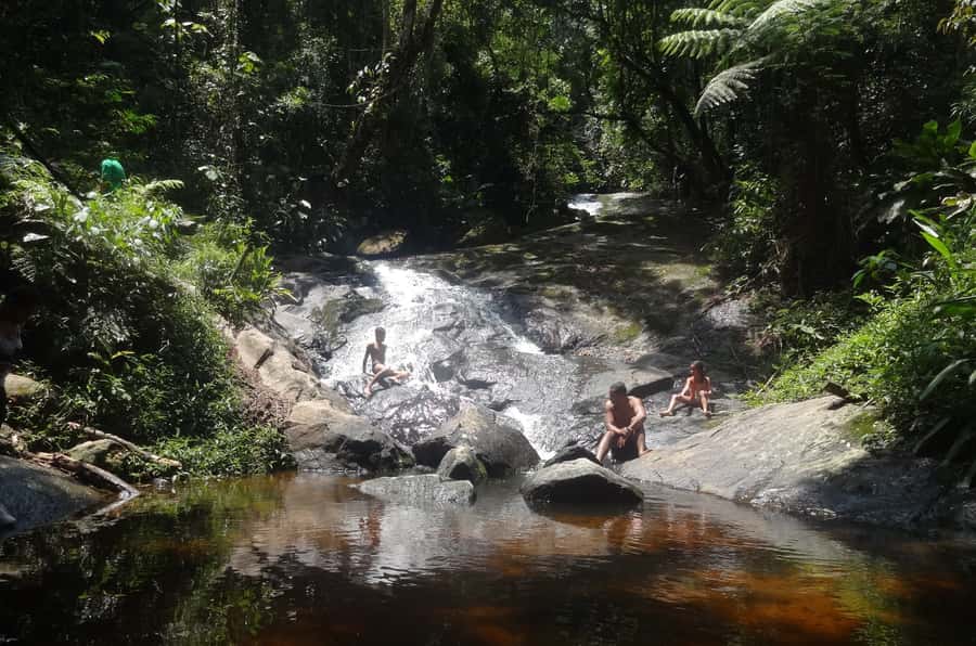 São Paulo: Cantareira Natural Park Guided Rainforest Hike - Who this hike suits best, and who should skip it