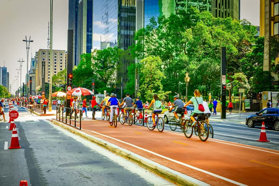 São Paulo City: 5-Hour Private Tour - Monumento às Bandeiras to Liberdade: How the City Tells Its Story
