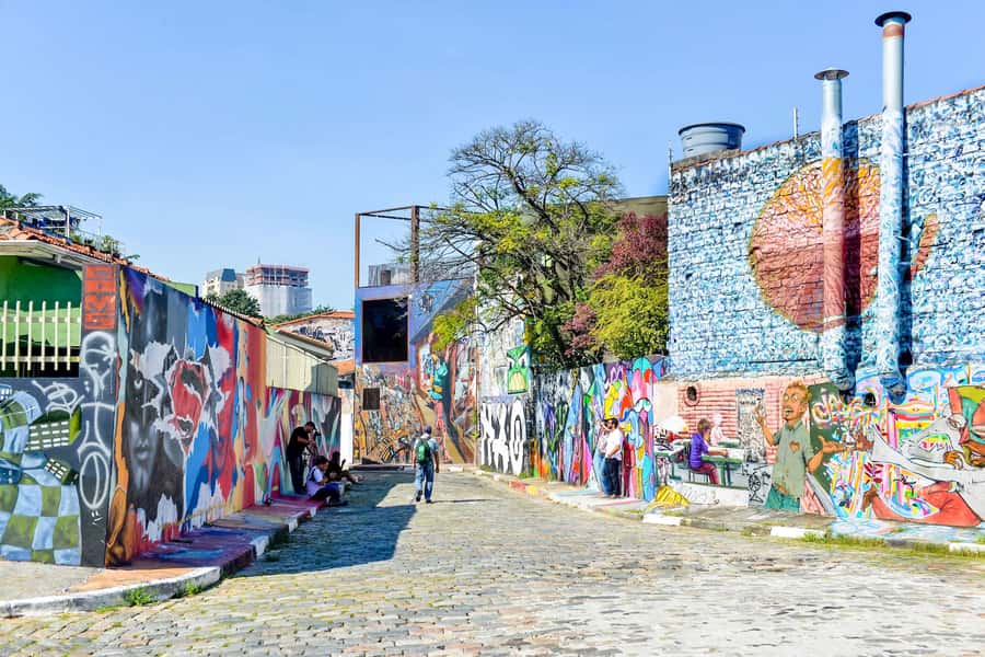 São Paulo City: 5-Hour Private Tour - Pátio do Colégio and Catedral da Sé: Start Where the City Began