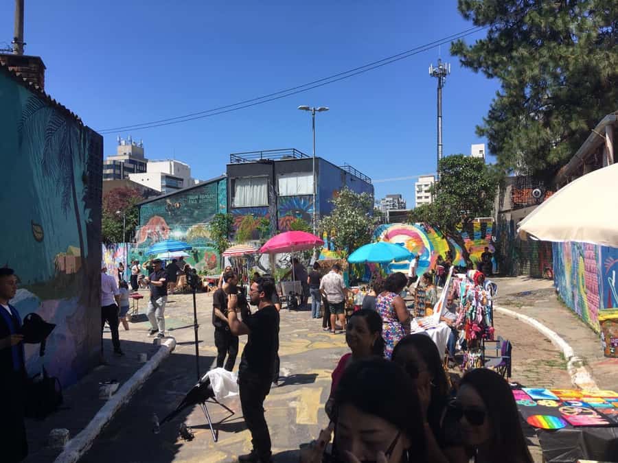 São Paulo: City Highlights Guided Tour - Paulista Avenue and the House of Roses, iconic views plus poetry culture