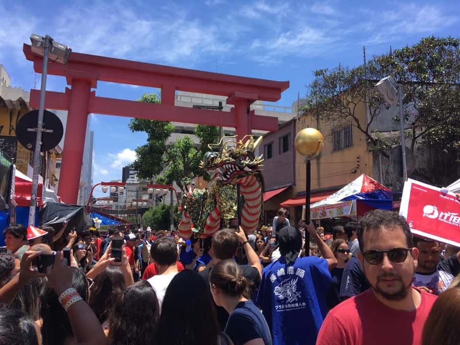 São Paulo: City Highlights Guided Tour - Price and what you truly get for $66 per person