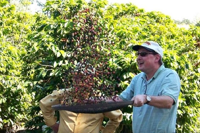 São Paulo Coffee Tour: Farm, Culture & Lunch Included - 6h - The centenary farms you might visit
