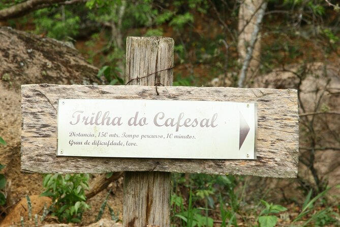 São Paulo Coffee Tour: Farm, Culture & Lunch Included - 6h - Price and value: is $394.28 per person worth it?