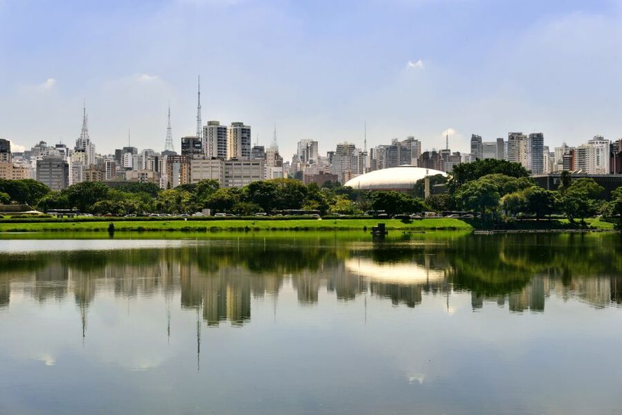 São Paulo: Full-Day Guided City Tour from the Port of Santos - Liberdade neighborhood: the Japanese community and how to spot its influence