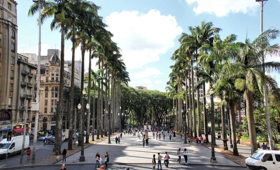 São Paulo: Full-Day Guided City Tour from the Port of Santos - Downtown to Paulista Avenue: seeing São Paulo’s scale without getting lost
