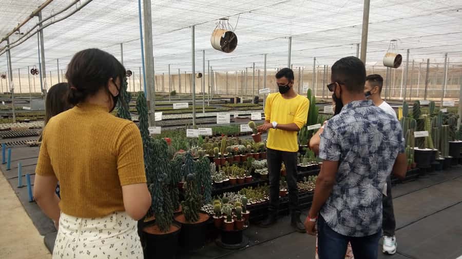 São Paulo: Holambra Colorful Flower Farm Guided Day Trip - Key highlights worth planning for
