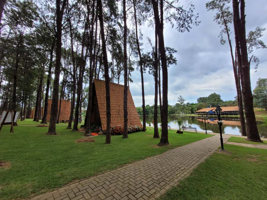 São Paulo: Holambra Colorful Flower Farm Guided Day Trip - Who This Day Trip Suits Best