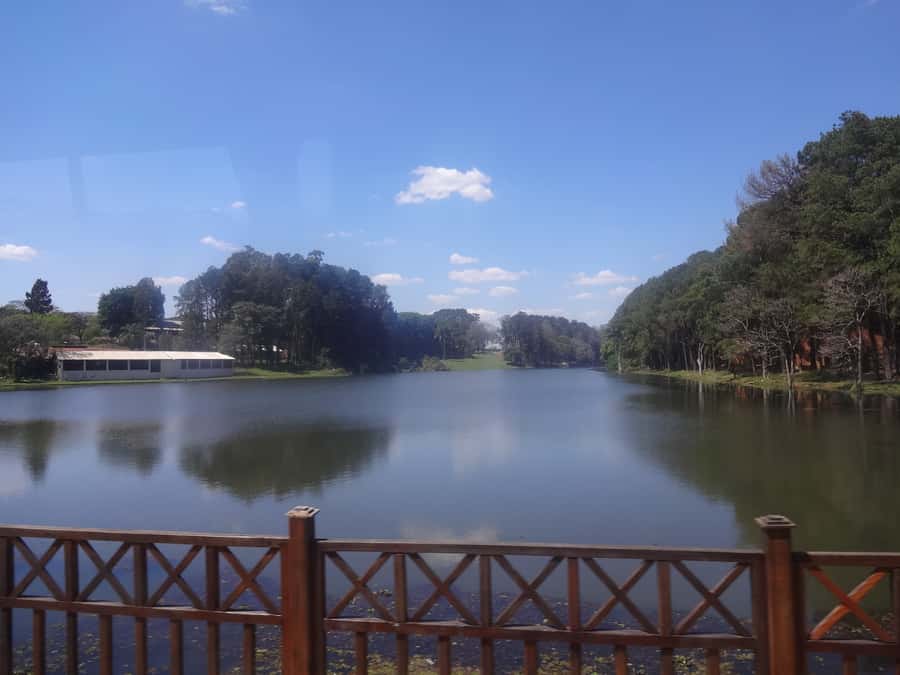 São Paulo: Holambra Colorful Flower Farm Guided Day Trip - Holambra City Tour Stops You’ll Actually Remember