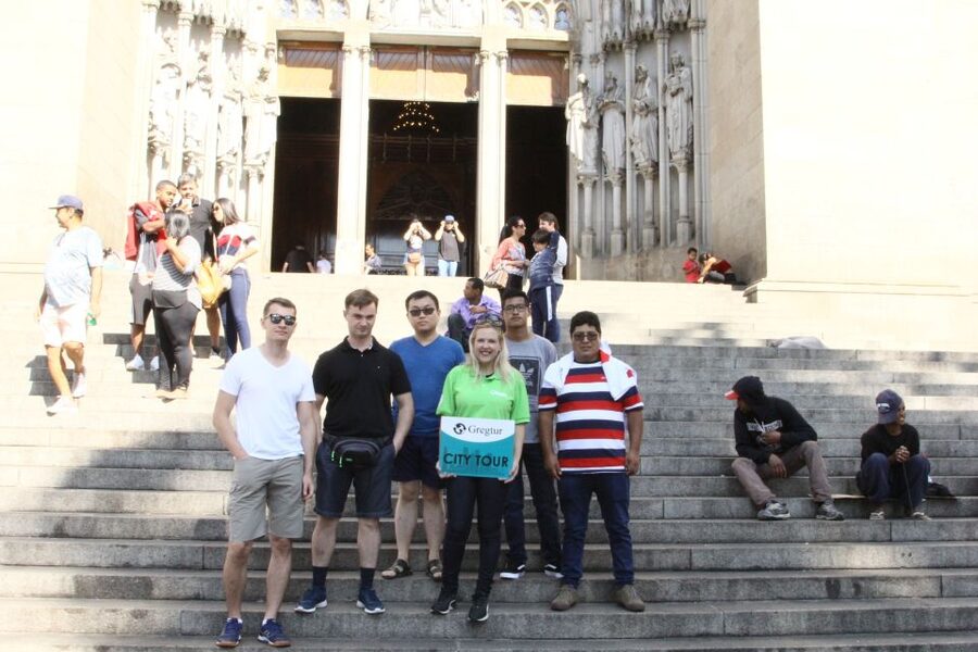 São Paulo: Main City Sights in 7 Hours - Shared Group Tour - Japanese neighborhood wandering and Municipal Market free time