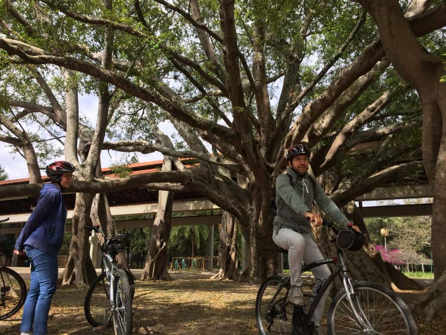São Paulo: Street Art Bike Tour - The bike setup, pacing, and included comforts for 3.5 hours