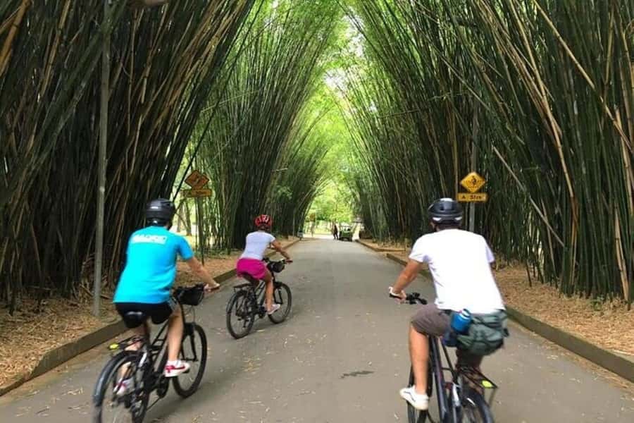 Sao Paulo: The Coolest Urban Scenes Bike Tour - Jardins to Vila Madalena: elegant city faces, then art and graffiti street life