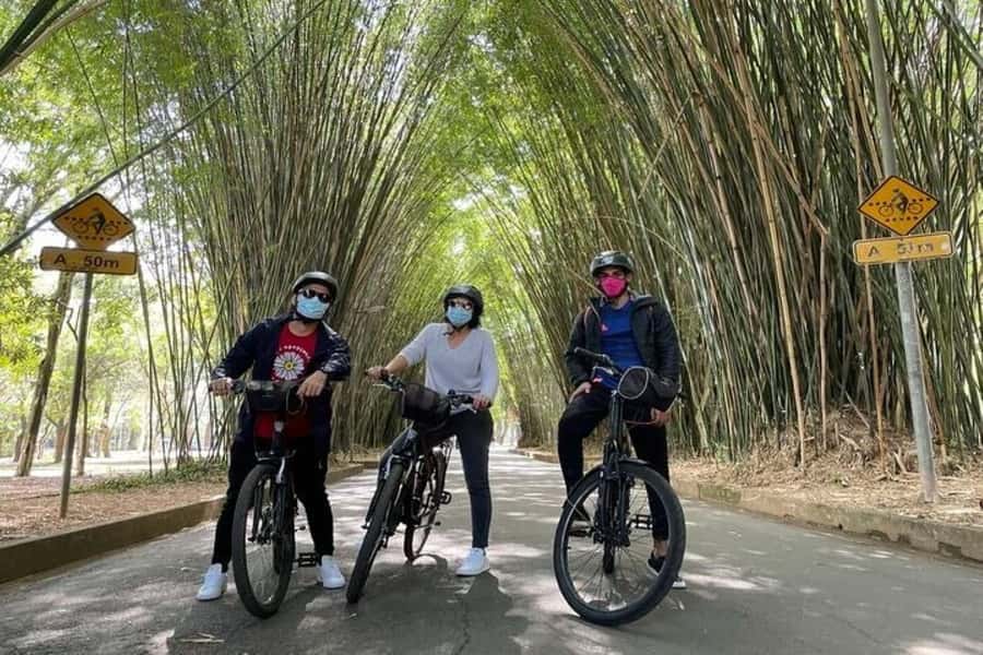 Sao Paulo: The Coolest Urban Scenes Bike Tour - Price and what the $120 buys you in real terms