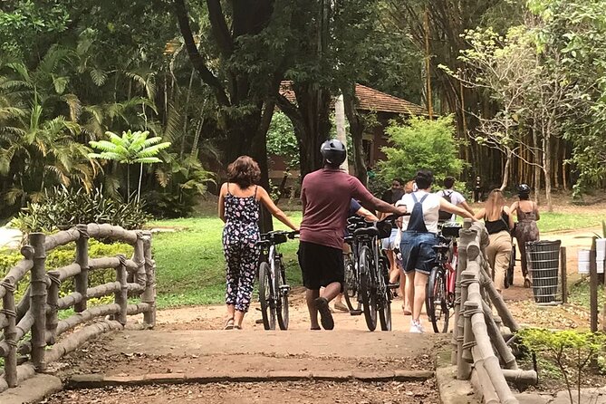 São Paulo Uptown Bike Tour - Price and What Your $95 Really Buys