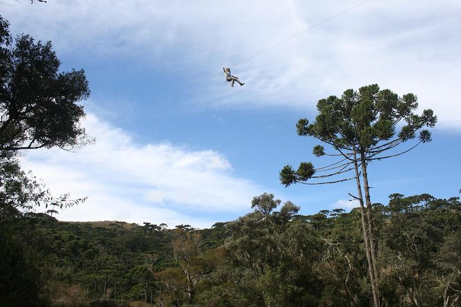 Sapucaí Canopies in Horto Florestal - Campos do Jordão - Where You Meet and How the Timing Works