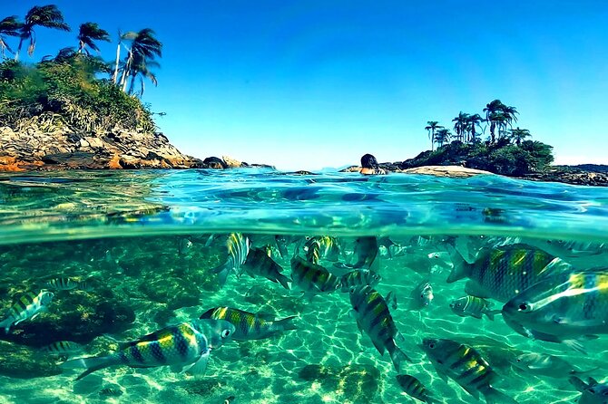 Shared Speedboat Tour - Paradise Island Tour - Stop 2: Praia do Dentista (Dentist’s Beach) and the Local “Juruba” Feel