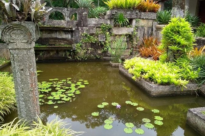 Sitio Roberto Burle Marx Guided Tour Ticket and Transfer - The 2 hours at Sítio Burle Marx: house, gardens, and the “art that lives outside”