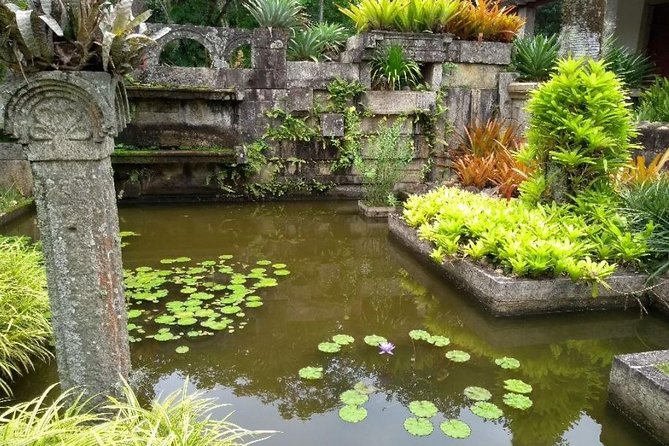 Sitio Roberto Burle Marx Guided Tour Ticket and Transfer - Recreio dos Bandeirantes and Barra da Tijuca viewpoints: the Rio contrast you need