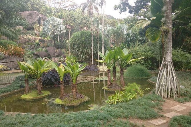 Sitio Roberto Burle Marx Guided Tour Ticket and Transfer - Timing and group size: why this feels manageable for most people