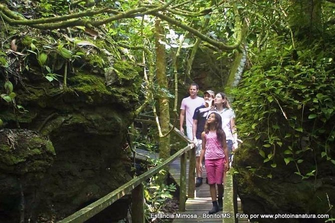 Skip the Line: Estancia Mimosa Admission Ticket - What makes the Bodoquena viewpoints worth stopping for