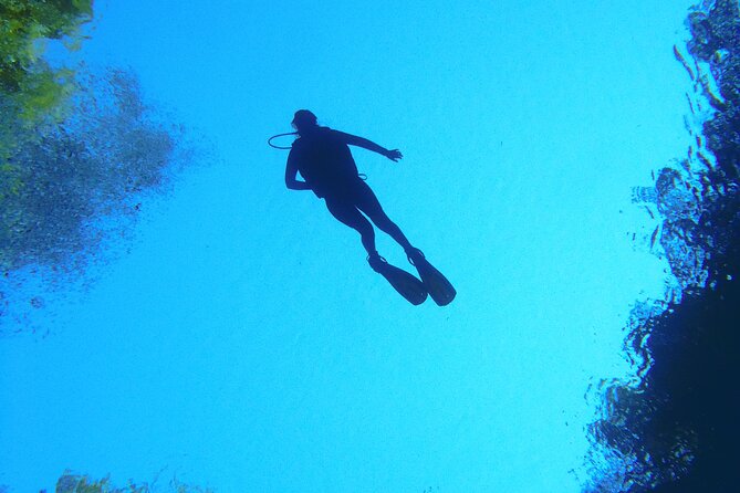 Skip the Line: Lagoa Misteriosa Admission Ticket with Scuba Diving Experience - The Underwater Experience: Clear Water, Fish Activity, and Wildlife Moments