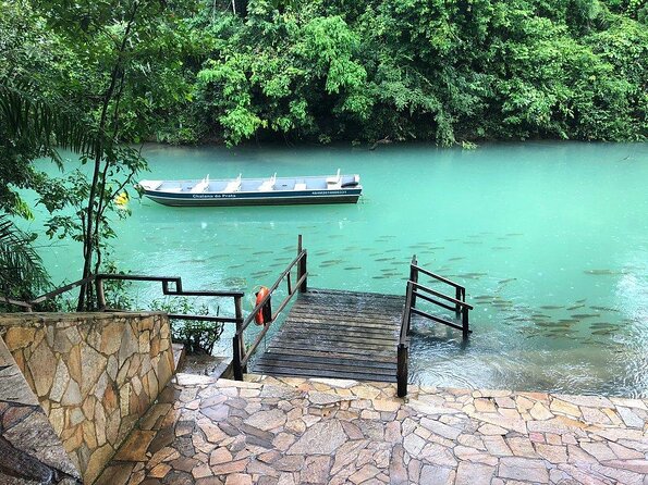 Skip the Line:Recanto Ecologico Rio da Prata Ticket including Trail & Snorkeling - The trail stop: Olho d’Água and moving toward the Prata river