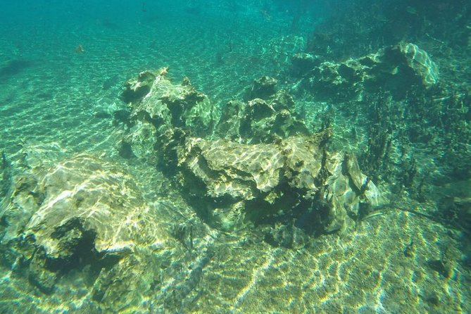 Skip the Line:Recanto Ecologico Rio da Prata Ticket including Trail & Snorkeling - Lunch on-site: simple, regional, and worth staying for