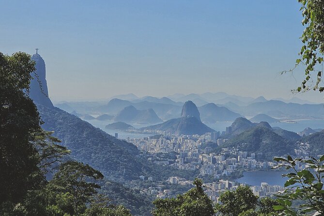 Small-Group Tijuca Forest Guided Tour - Key things to know before you go