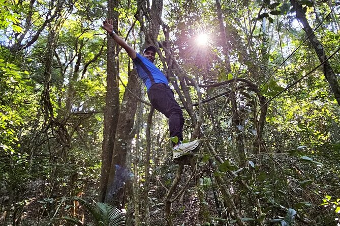 Small-Group Tijuca Forest Guided Tour - The trail mix: easy 15-minute walks plus one moderate hike