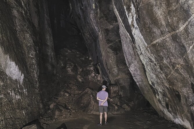 Small-Group Tijuca Forest Guided Tour - Wildlife spotting with a guide who can read the forest