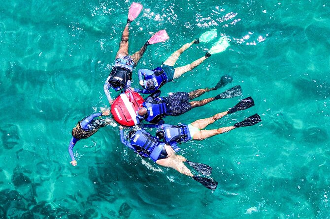 Snorkel Dive with Turtles - Key highlights to know before you go
