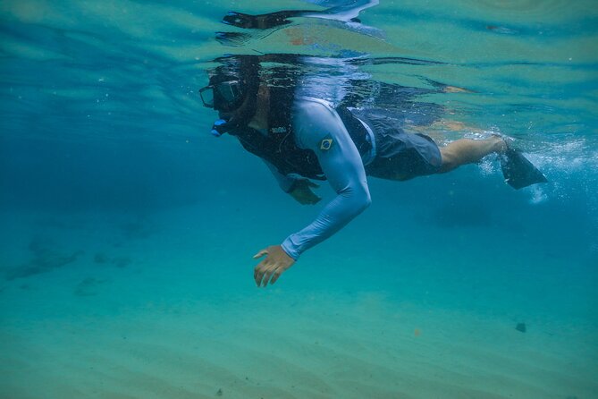 Snorkel Dive with Turtles - Timing, Weather, and Simple Tips That Help You Enjoy It