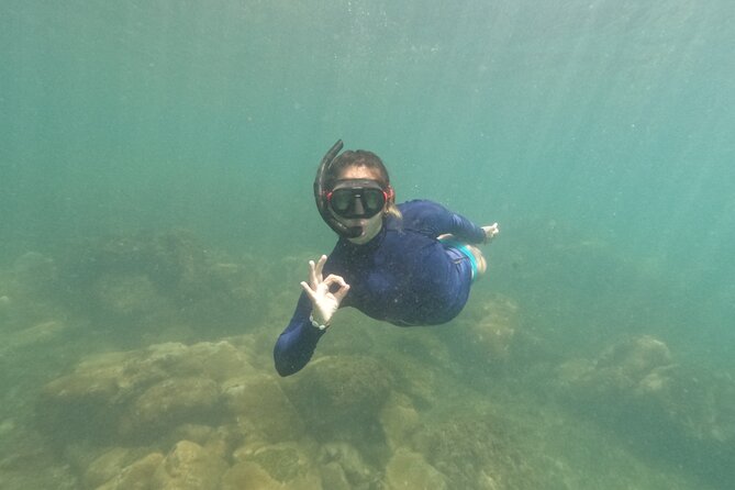Snorkeling Tour on Macuco Island With Underwater Photos by Zimbros Ecotour - Riding the Coast: Morro do Macaco Municipal Natural Park Beaches