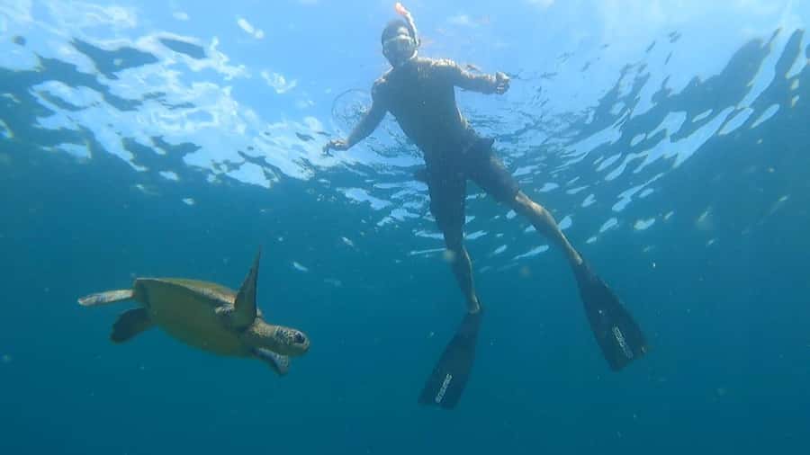 Snorkeling with turtles in their natural habitat - Entering the day: Vila do Abraão to your private boat